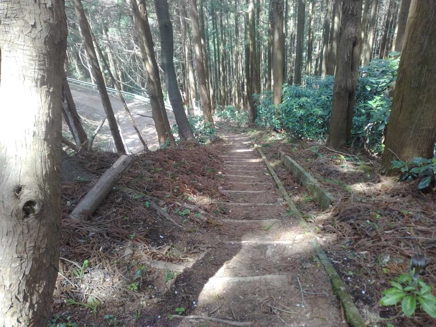 アス道へ出ます