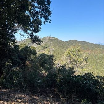 正面に六ヶ岳見えた場所