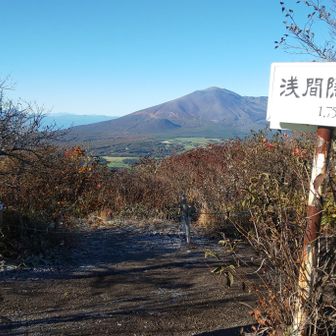 根本