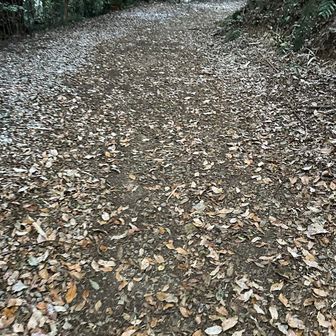 展望台への散策路。広いです