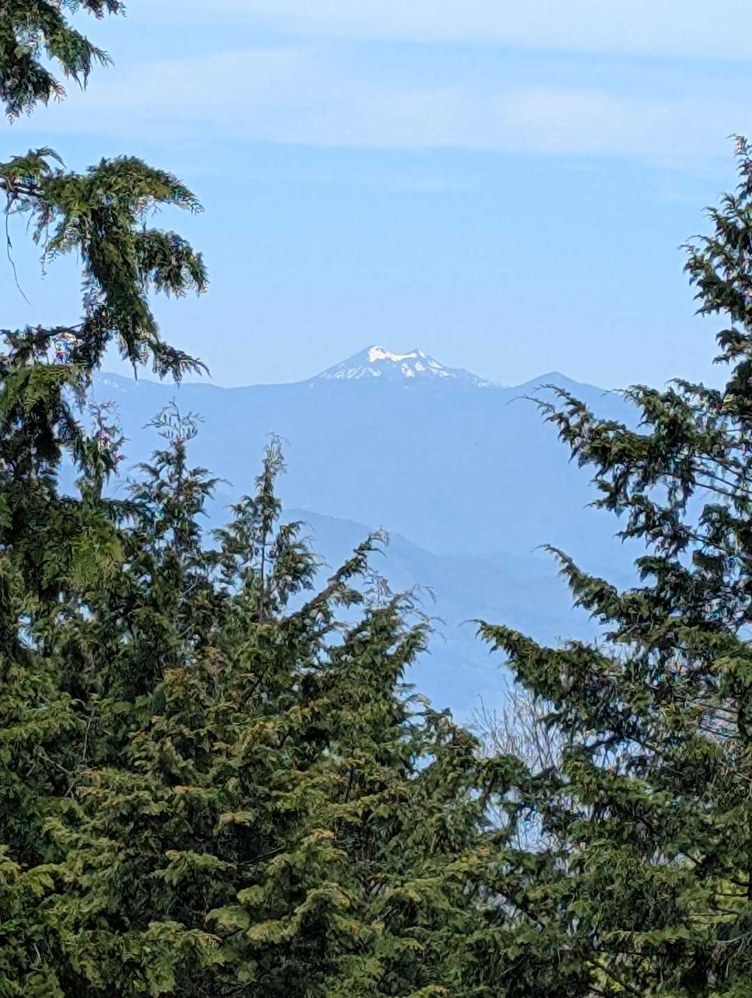 船ヶ鼻登山口-船ヶ鼻山 周回コースの写真