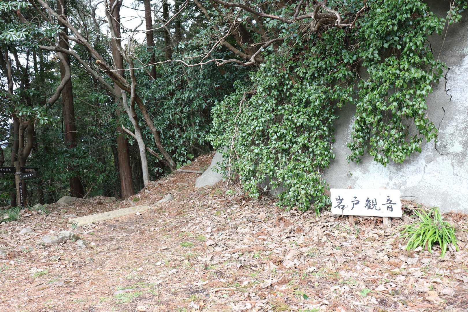 岩戸観音とあるが。地図を見るとかなーーーーーり先のようでした。