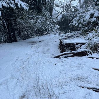 奥の院
ちゃんと掃き清めてられています🙏
ベンチの上も😊