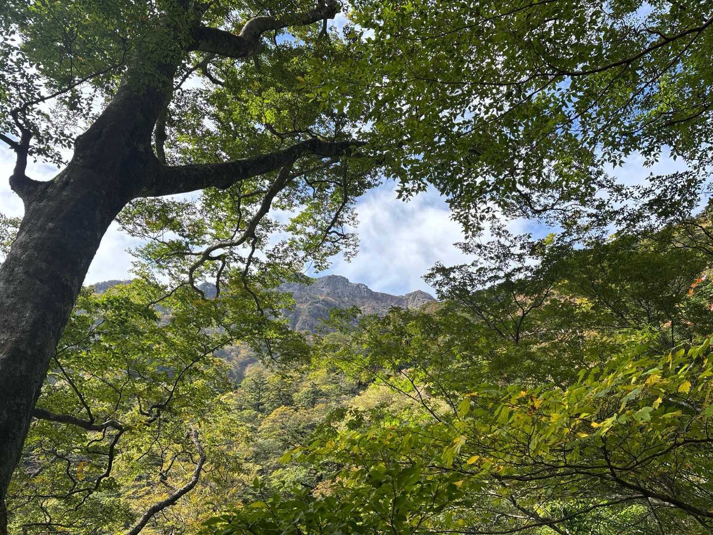 石鎚山が見えて来た🏔️