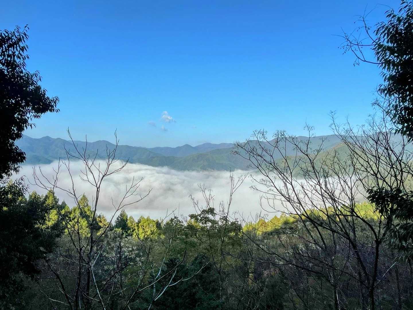 登り始めに見えた雲海