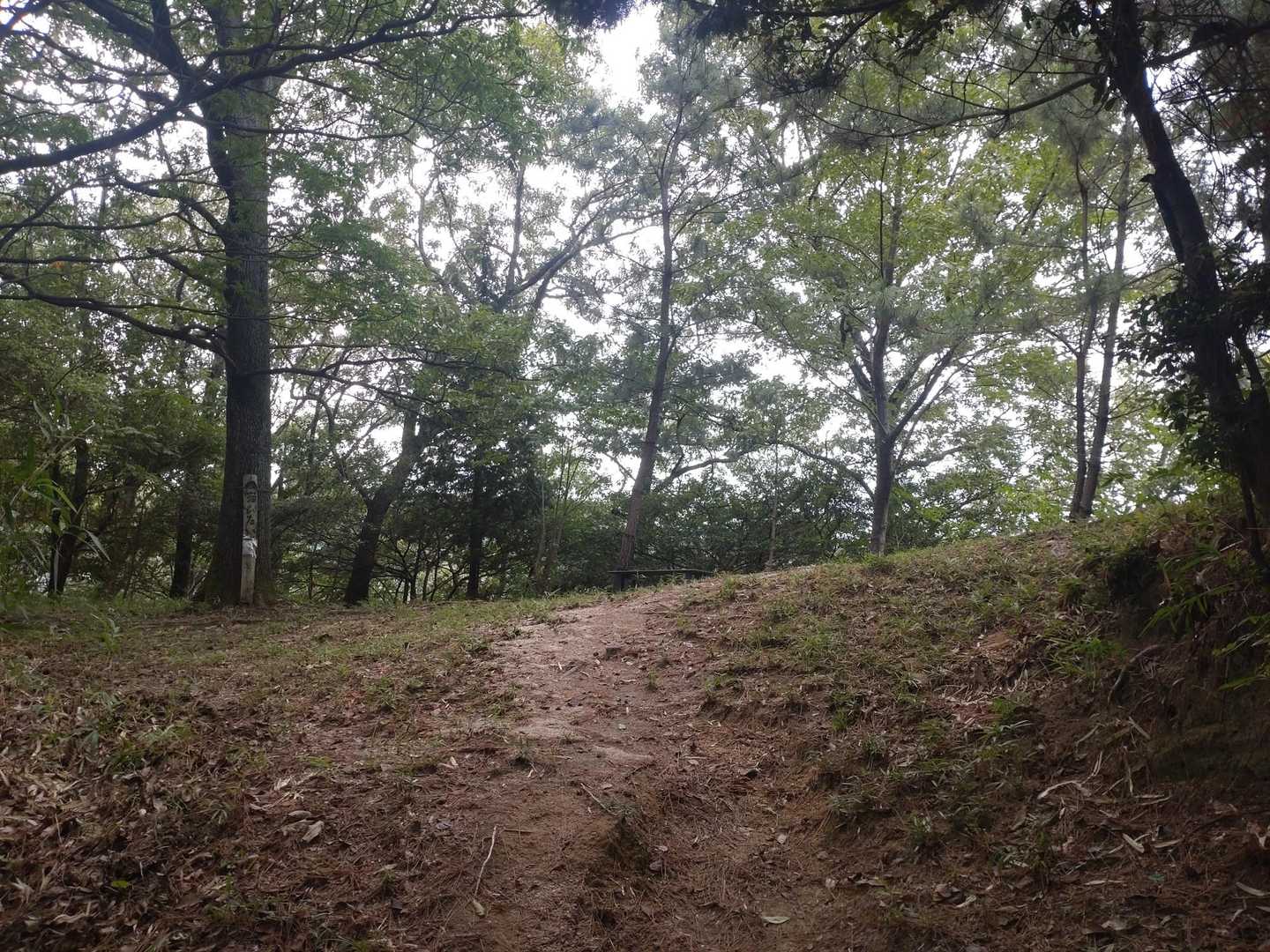 暑いけど、いい季節は間近