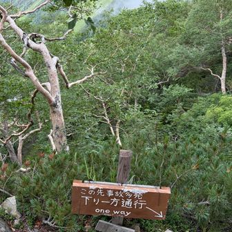 まだまだ油断出来ない
