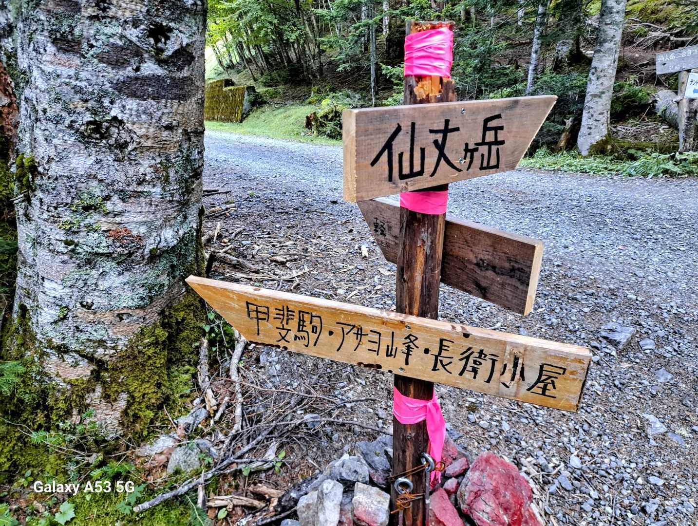 すぐに林道を歩いて長衛小屋に向かいます。