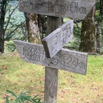 下山道の分岐