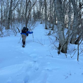 この斜面は比較的雪深く脛くらいまで沈み込みましたがツボ足でOK
