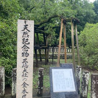 年2回咲くんだと😳