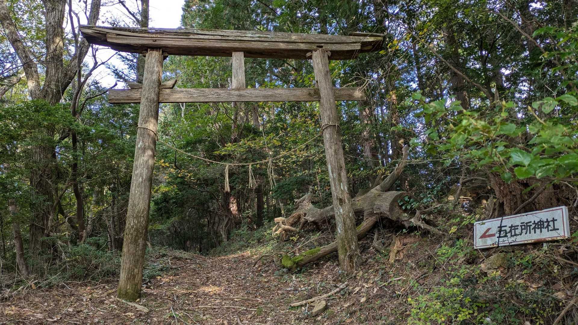 ここにも鳥居が有りました