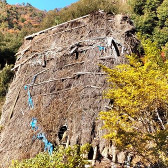 もはや風前の灯の岩舟荘。完全崩壊も時間の問題か…