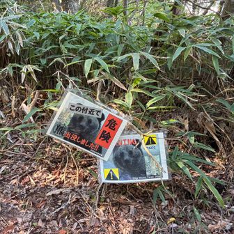 熊出たら困るなあ