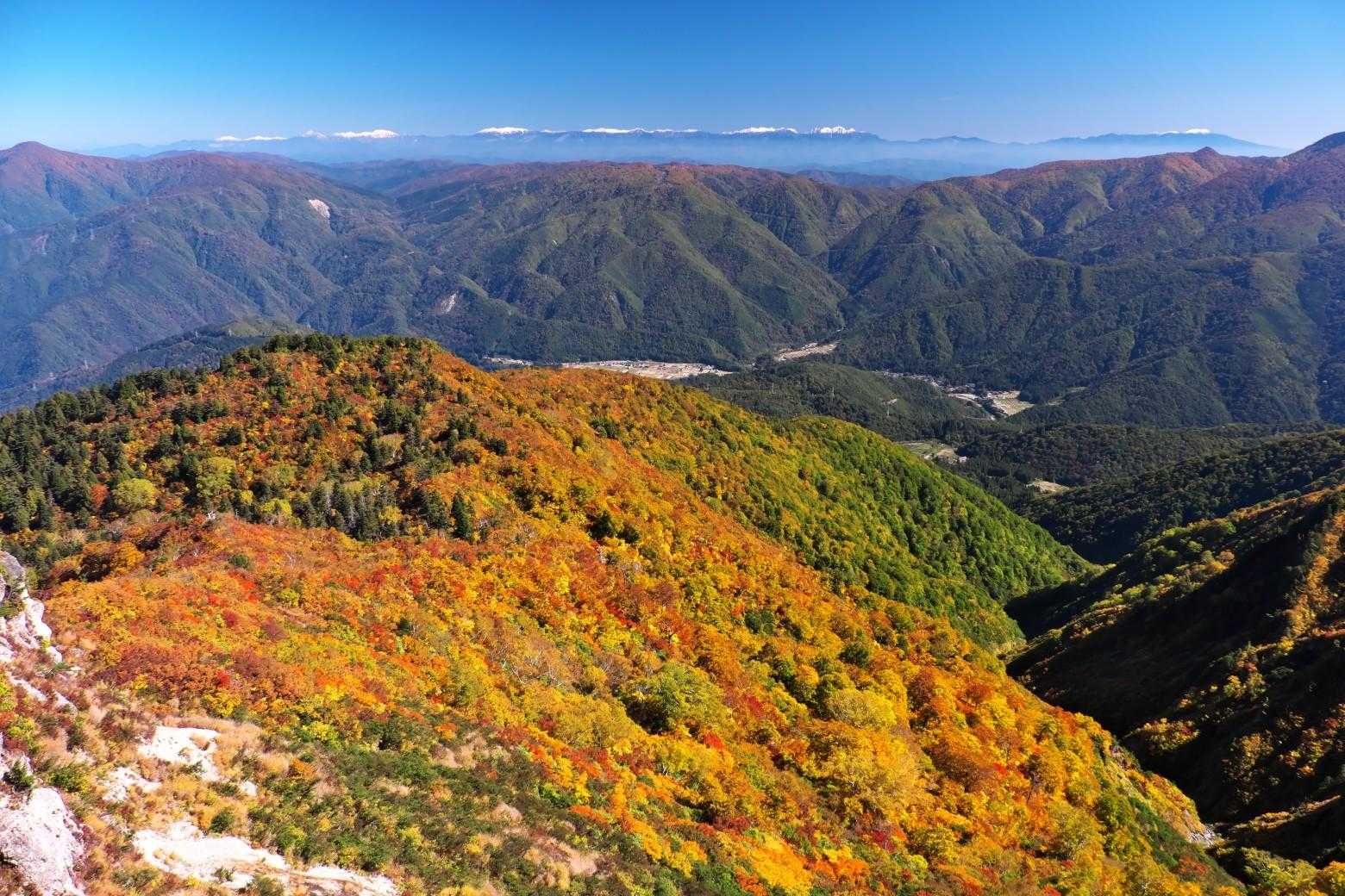 絶景です‼️
北アルプス、世界遺産の白川郷
目の前には紅葉の山肌🍁
いつまでも見ていられます❗