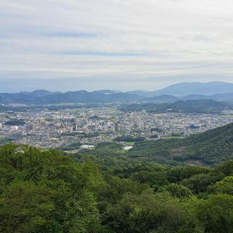 山頂から見た西条の町並み