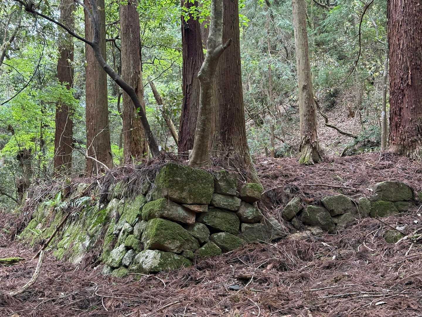 石垣が積まれた場所も