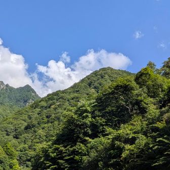 鶏冠山にも登ってみたくなったけど、雨予報だから渓谷だけに