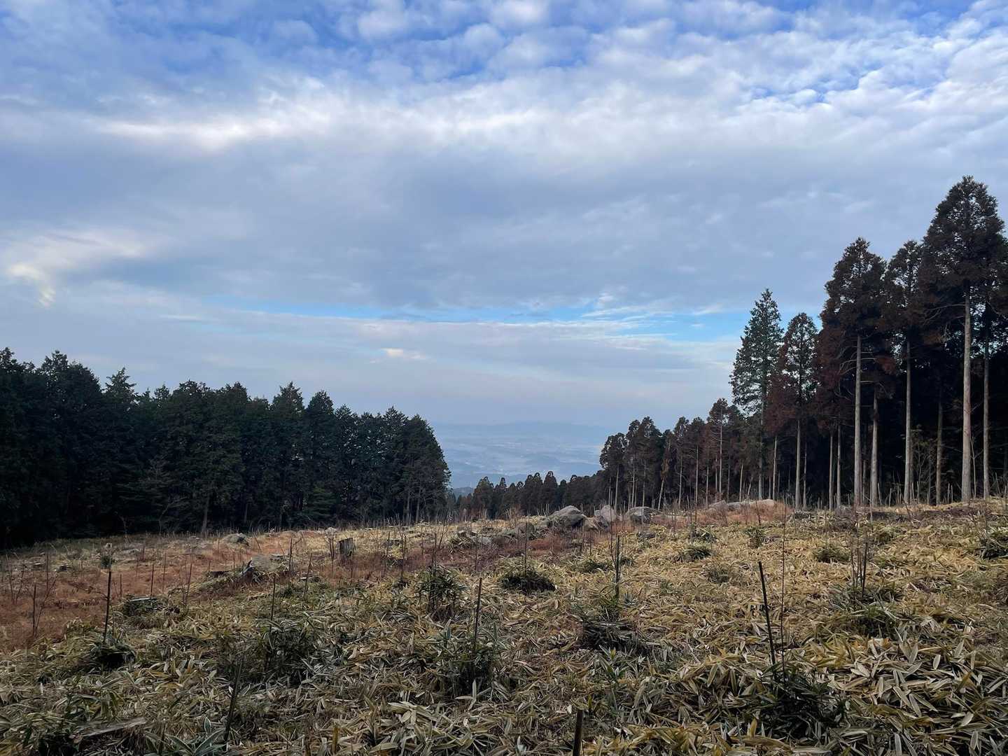 登山開始⛰️登りは森林コース