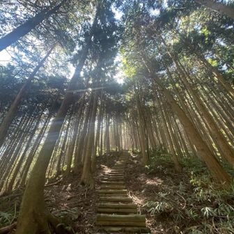 ダイトレ名物 階段地獄