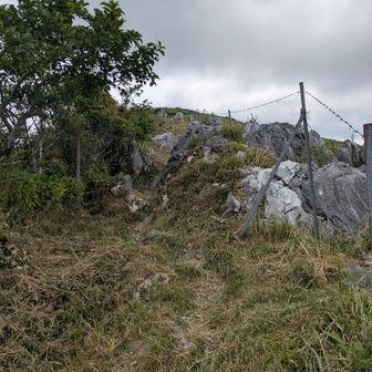 登山道は歩きやすいように草を刈っていただいていました