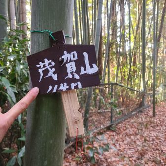 標高114m？YAMAPでは115m。
どっちが正解？！