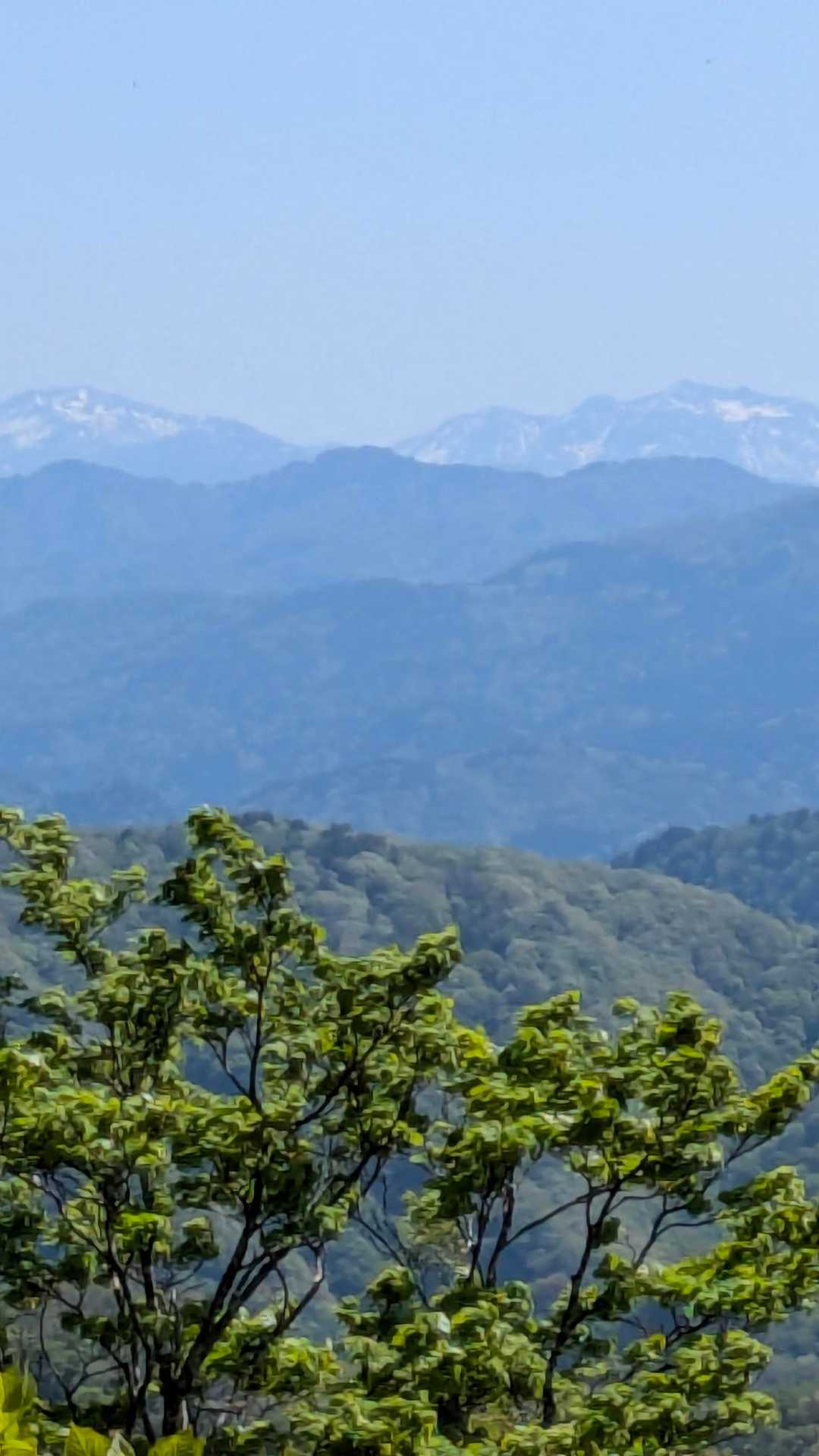 市谷の登山口-蟹ノ目山 周回コースの写真