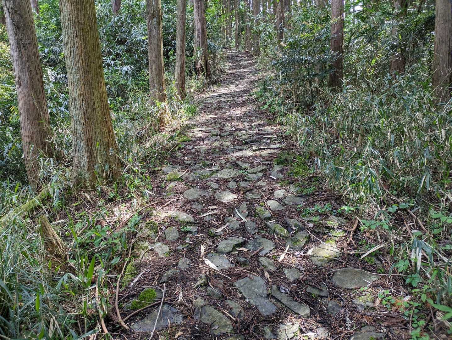 この石畳、降りやと滑りやすいので要注意！