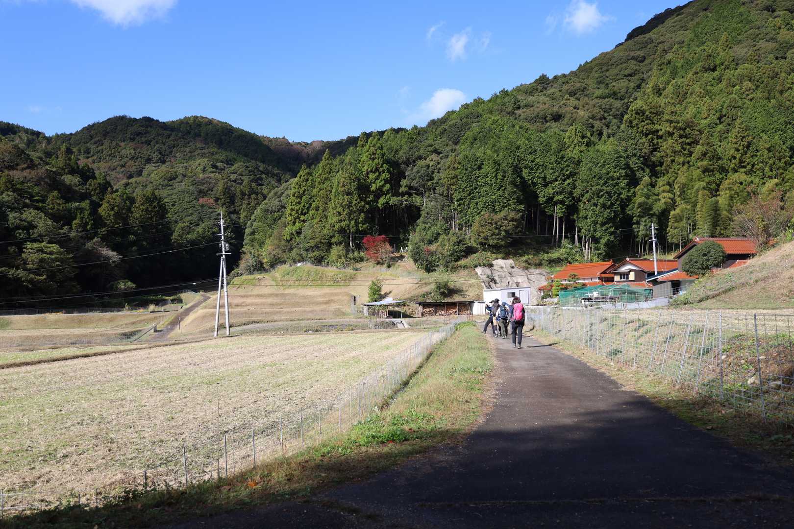 なんか、のどかな風景〜(´◡`๑)