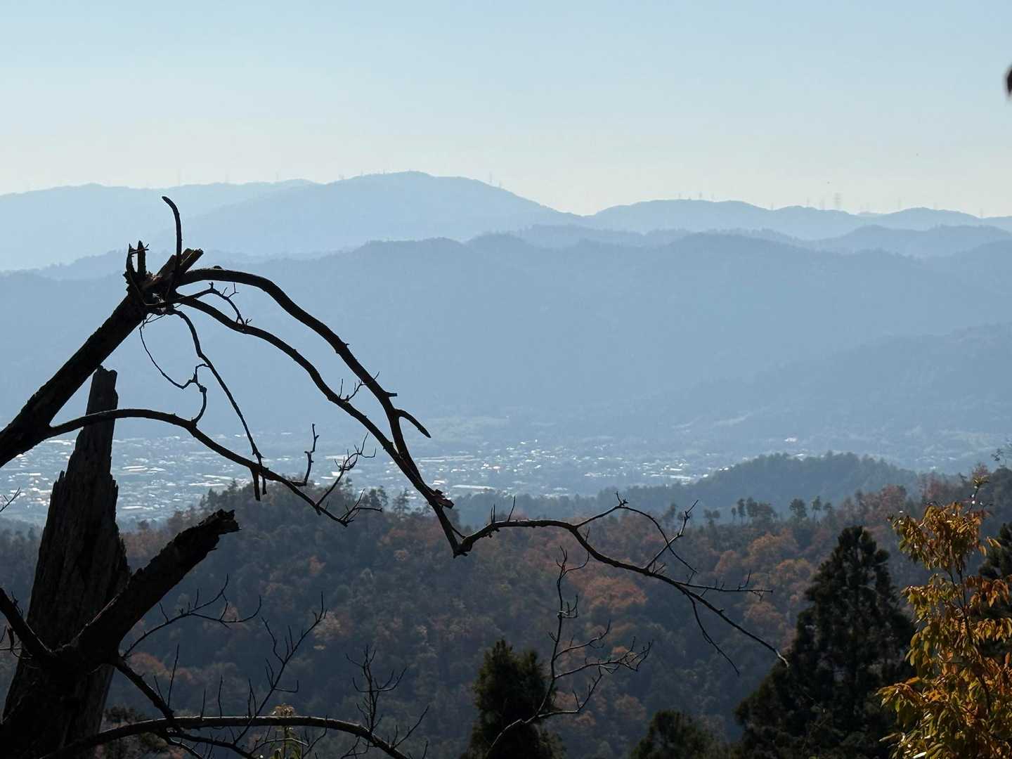 お！今日初めてのビュー✨
ポンポン山と嵐山あたりかな
