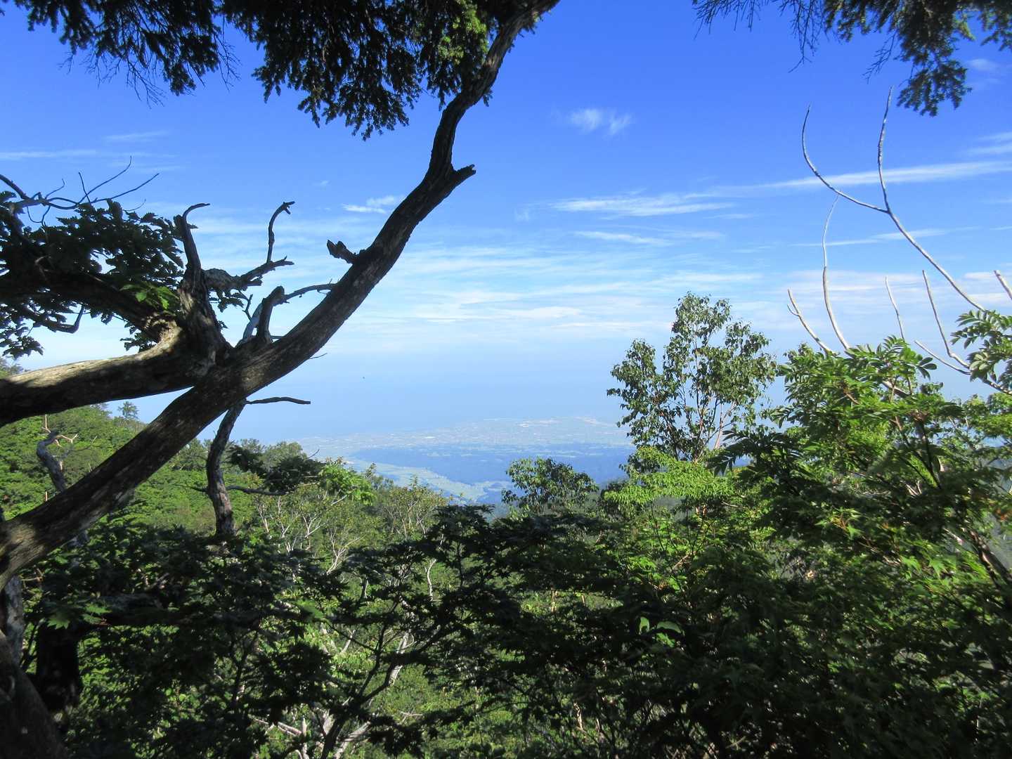 お～登りきったら 富山湾が見えるよ✨