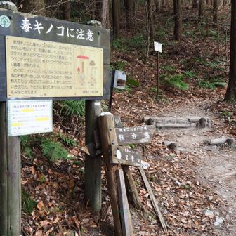 階段の始まり👍