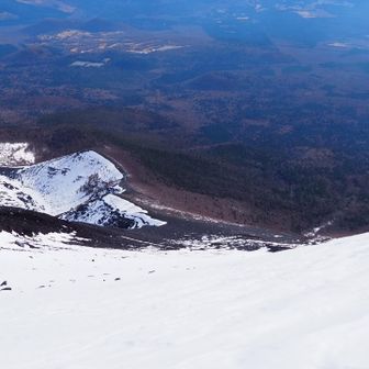 楽しくついつい