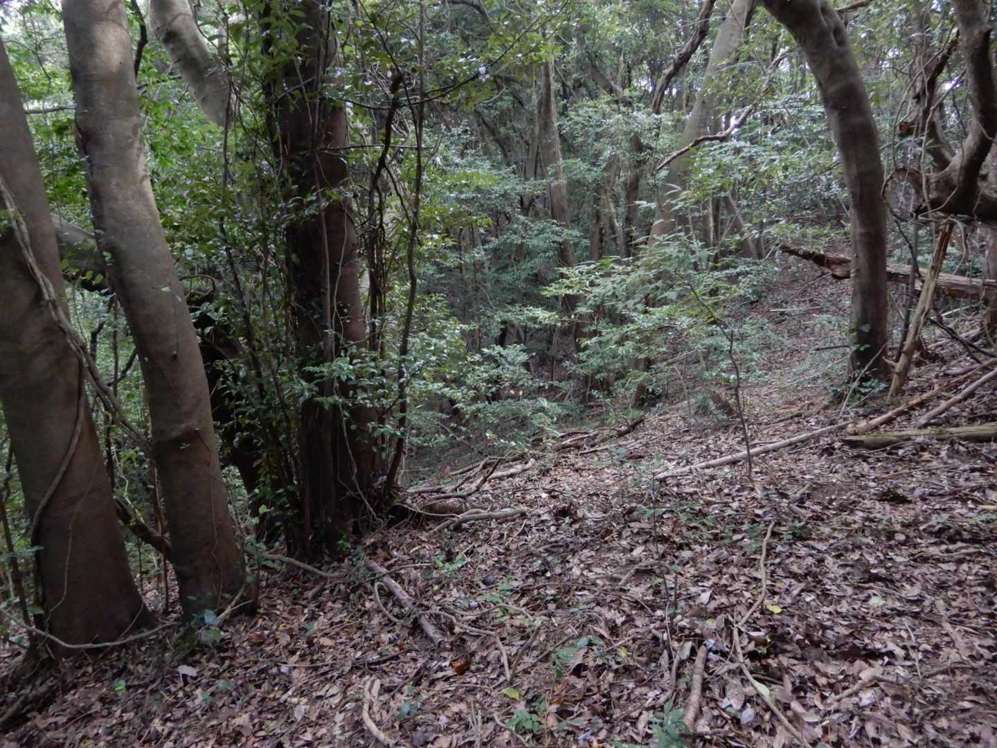 ゆるりと下り、登り返して
