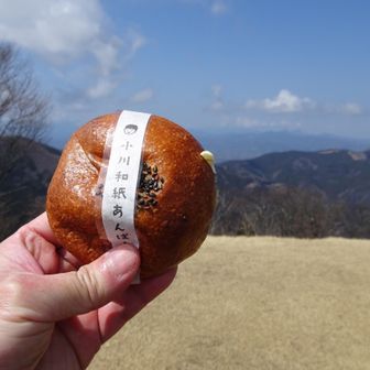 車で登山口に向かっていた途中、トイレのために道の駅おがわまちに寄ったら売っていた小川和紙あんぱん。そういえばこの間テレビで取り上げられていたな。
パン生地は3ミリくらいしかなくて、あとはあんこがぎっしり詰まっている。つぶあんは余計な水分がなくてしっかりしている。美味。