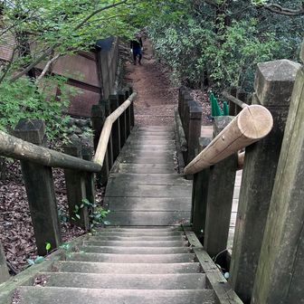さて、では百曲がりコースで下山しますか。