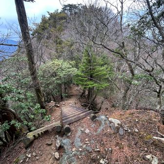 先の方に三峰山のピークが見えました。