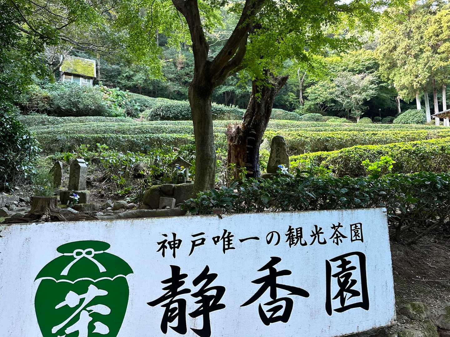 王子公園駅-摩耶山 周回コースの写真