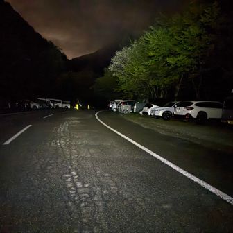 駐車場も静か