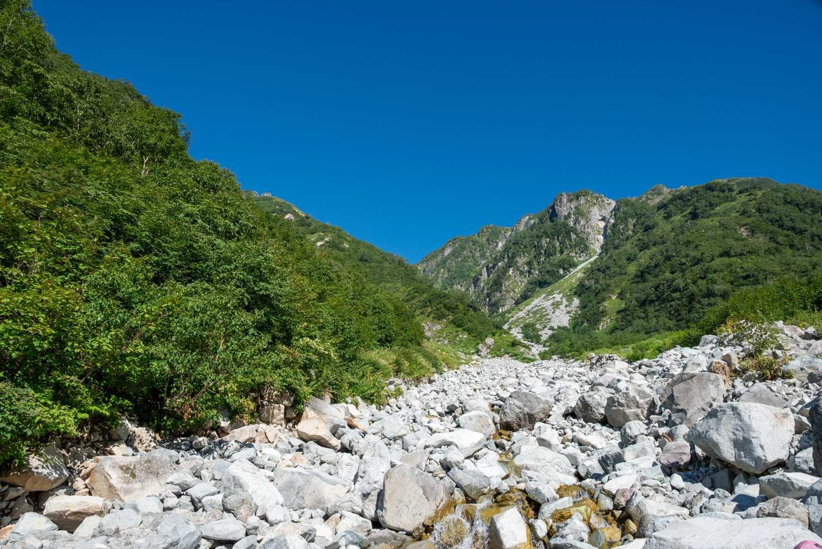 秩父沢
流された橋がしっかりと架け替えられいました。
登山者にとっては感謝しかないですね😊