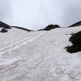雪渓を登ります。正面の岩の左を目指します。右に行きそうですが、間違えないように。