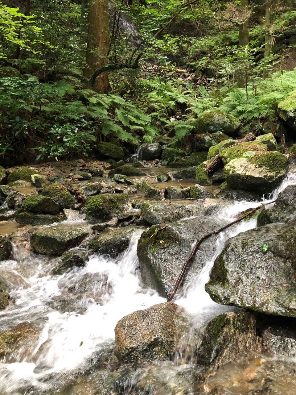 雷山観音前バス停-雷山 往復コースの写真
