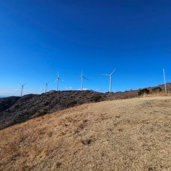 圧巻の風力発電機の数
昨日ほどの暴風ではないものの、元気に回っています