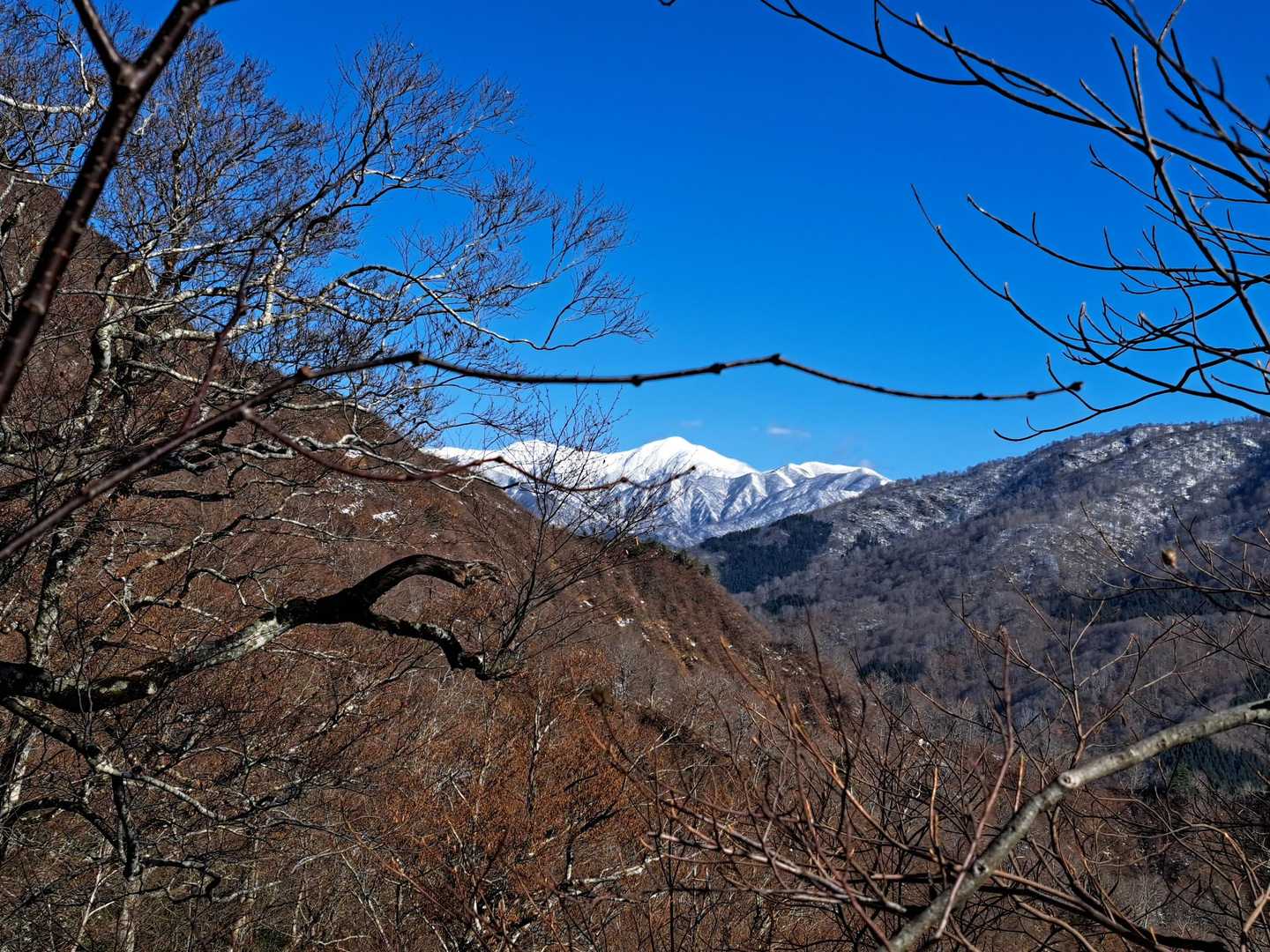 大朝日岳かな