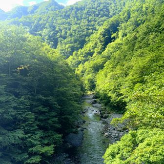 緑が深く、川を透き通っているね！