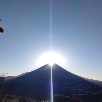 旅するムササビ(からあげ好き)