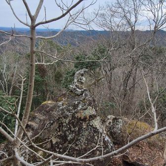 こちらは金比羅山頂上