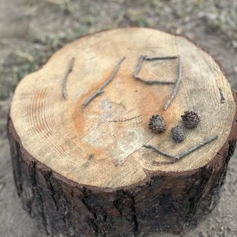 丸太🪵見つけたのでカレンダー📅
作ってみた«٩(*´ ꒳ `*)۶»