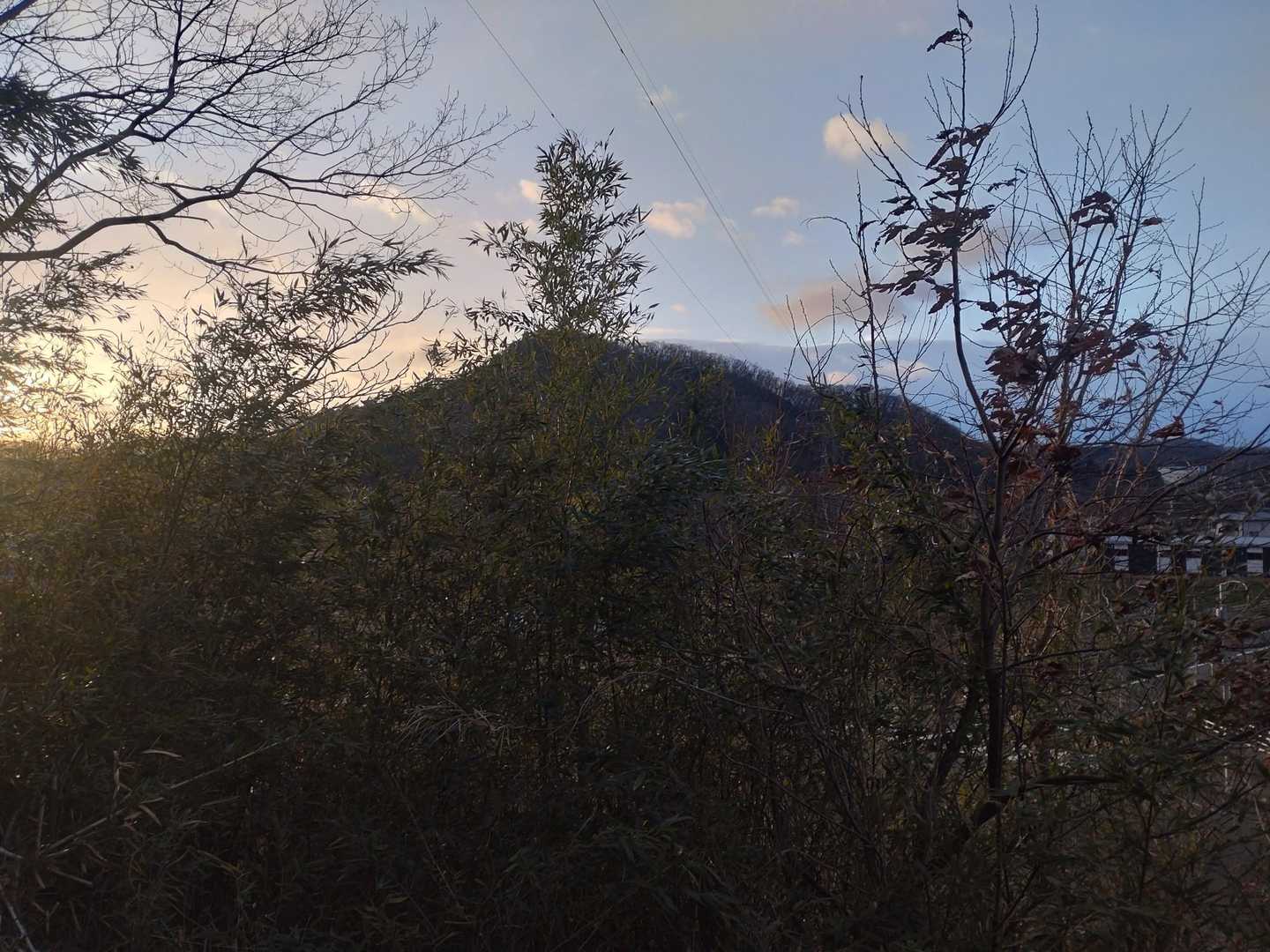 向かい側には船岡公園の山。
桜🌸の時期に来ることにします
