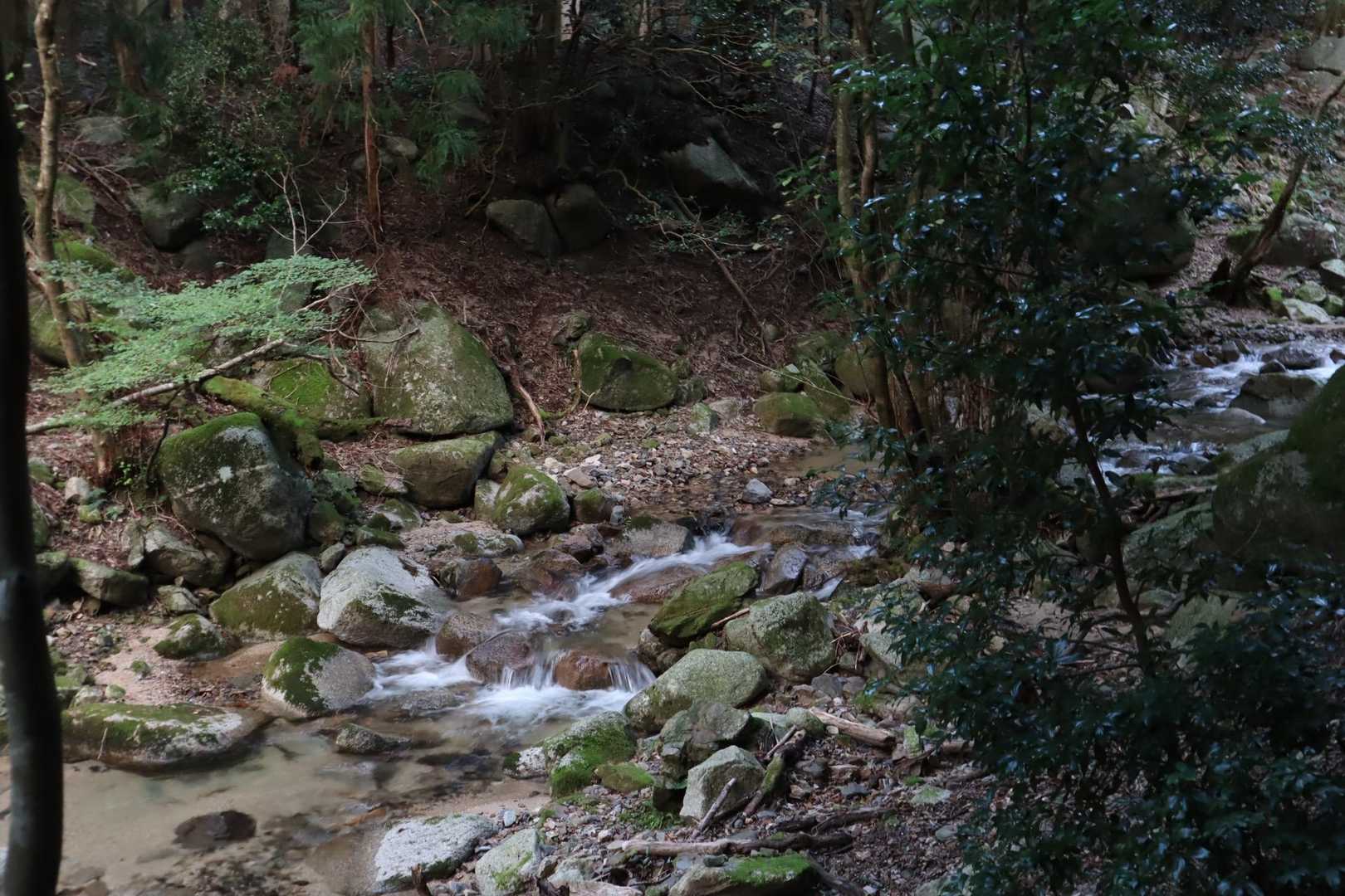 滝になってて水がめちゃくちゃ綺麗！